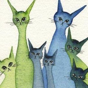 Meet your Posher, Joe